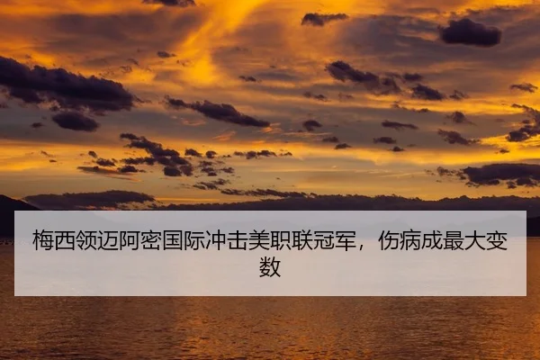mei-xi-ling-mai-a-mi-guo-ji-chong-ji-mei-zhi-lian-guan-jun-shang-bing-cheng-zui-da-bian-shu-3-769.jpg