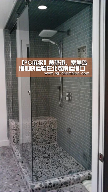 【PG麻将】黄骅港、秦皇岛港加快运输在北煤南运港口中继续领跑(图1) PG棋牌